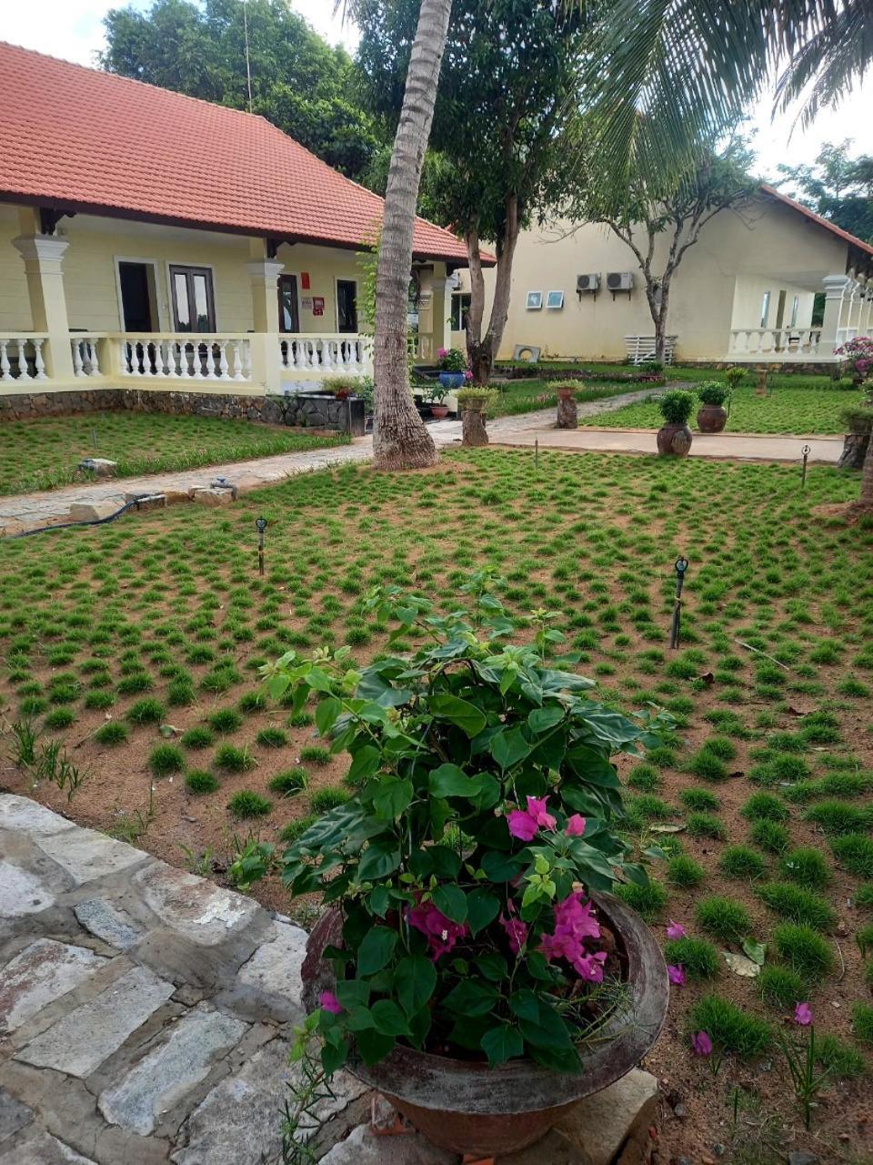 Sai Gon Con Dao Resort Exterior photo